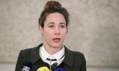 Selak: U Sisačko-moslavačkoj županiji 50 posto više žrtava obiteljskog nasilja