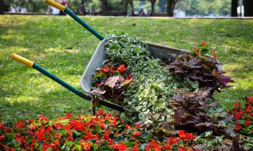 Vraća se Floraart: Bundek se nakon lanjske pauze ponovno pretvara u cvjetnu oazu