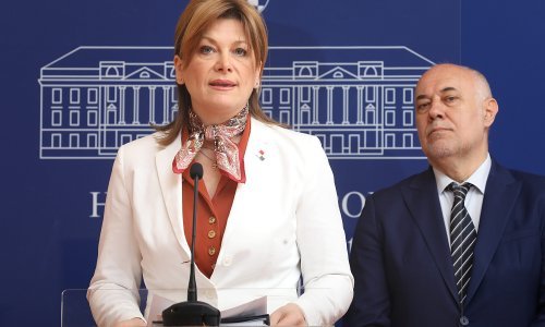 [VIDEO] Vidović Krišto uputila predstavke EK jer su hrvatski građani oštećeni za 800 milijuna eura