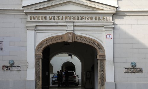 Evakuirana i spašena Zbirka krapinskog diluvija, najvrjednija zbirka Hrvatskog prirodoslovnog muzeja