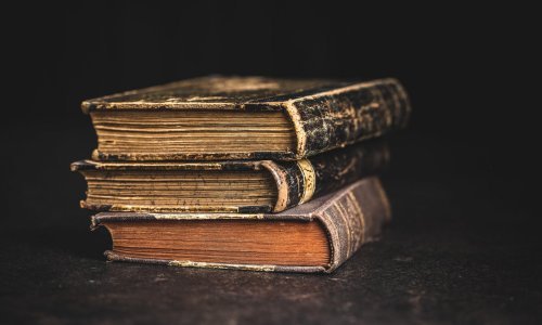 Unatoč otežanom poslovanju redovi pred knjižnicama potvrdili njihovu važnost