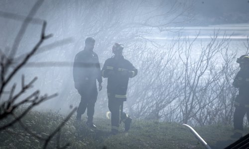 U požaru u Parku prirode Hutovo blato izgorjela površina od 10 hektara
