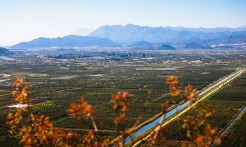 Od četvrtka 25. ožujka strože mjere i za dolinu Neretve