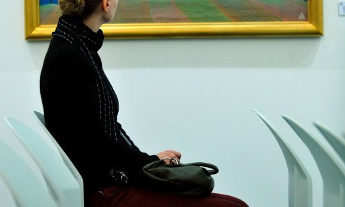 Počeli 5. Rabuzinovi dani u Novom Marofu