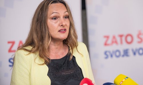 Vukovac i Pudić kandidati DP-a za županicu i gradonačelnika Slavonskog Broda