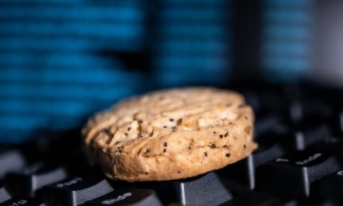 Stručnjaci zabrinuti: 'Googleov napad na kolačiće treće strane mogao bi ozbiljno uzdrmati tržište internetskog marketinga'