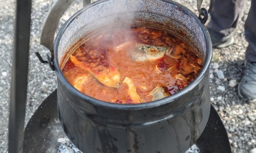 Dalmatinci pripremaju blagdanski riblji meni za Siščane i Petrinjce; 22 ugostitelja podijelit će 3000 porcija