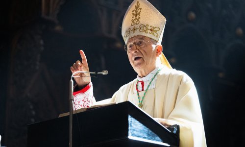 Puljić: Nakon nevolja koje je donio koronavirus ugrijat će nas nebesko sunce