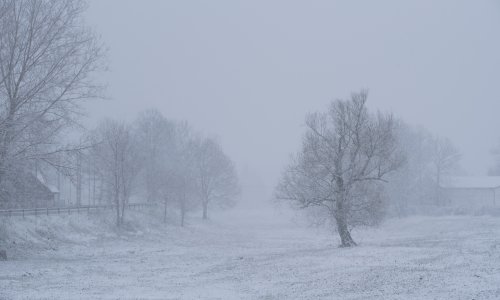 Zbog mraza prirodna nepogoda za 7 gradova i 10 općina Zagrebačke županije