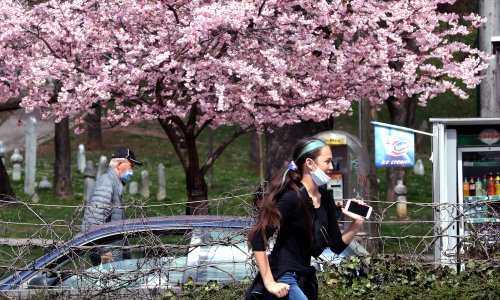 U BiH pad dnevnog broja novozaraženih, tek nešto više od 700 slučajeva