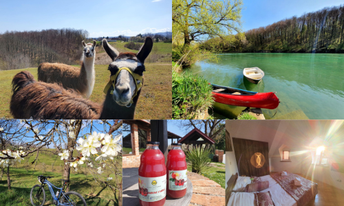 [FOTO/VIDEO] Bloger tportala otkrio je novu slatku rutu koja ide kroz brojne vinograde, šume i uz rijeku Kupu