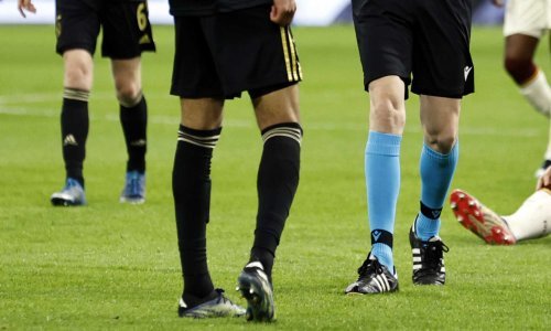 Zaleđenim biljkama sigurno nije lako, ali zbog ovakvih prizora volimo zimu