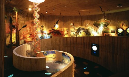 Značajna godina za Muzej krapinskih neandertalaca