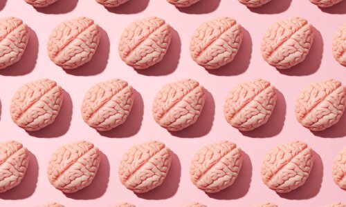 Zanimljivo istraživanje: Mozak modernog čovjeka razvio se kasnije nego što se misli