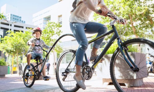 Tijekom vladavine Bika posvetite se samo bitnom, a najpovlašteniji će biti Djevice, Jarci, Rakovi i Ribe