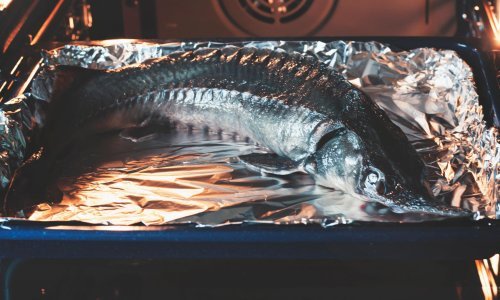 WWF ima dokaze o krivolovu i ilegalnoj trgovini divljim kečigama u donjem toku Dunava; u Hrvatskoj je lov i dalje dozvoljen