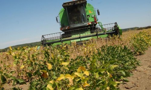 GMO na hrvatskim poljima - dizanje panike ili stvarna opasnost?