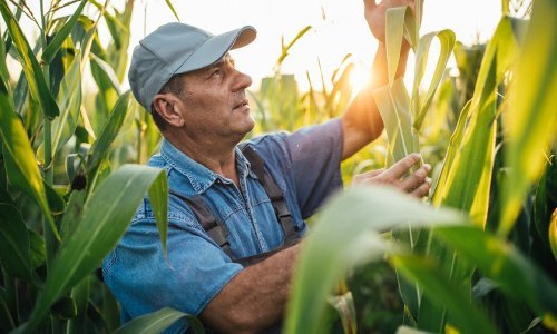 Croatia osiguranje lansiralo indeksno osiguranje od suše