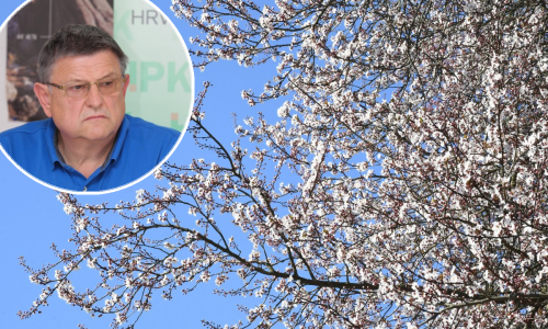 Mraz je početkom travnja dotukao gotovo 90 posto voćki, ispitali smo čekaju li nas nenormalno visoke cijene