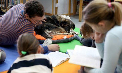 Otvorenje u petak: Pop-up izložba 'Naša divna stvorenja' uz Noć knjige