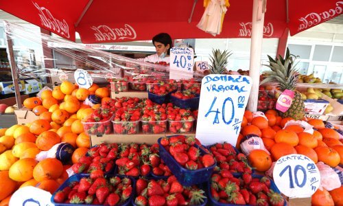 [FOTO] Počela je berba domaćih jagoda, a podvaljuju nam uvozne kao hrvatske. Kako ih prepoznati?