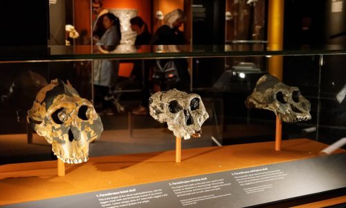 Tajna evolucije: Homo sapiens je kreativnim genima nadvladao praljude