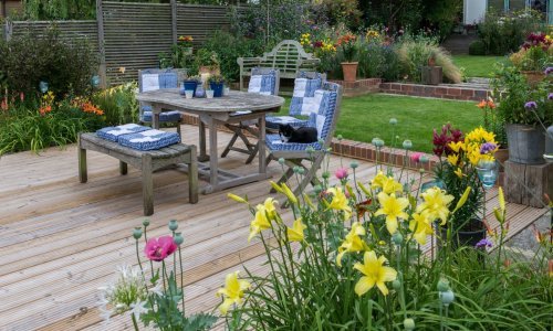 Posadite ih sada i uživajte do kraja ljeta: Vrijeme je uređivanja vrtova, a ovo je top pet biljaka za svaki vrt