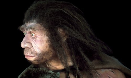 Veliko istraživanje: Veličina mozga kod sisavaca nema veze s inteligencijom niti veličinom tijela