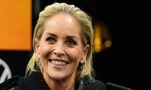 Sharon Stone otvorila dušu: 'Od 'Sirovih strasti' nisam zaradila dovoljno novca ni da si kupim haljinu za odlazak na dodjelu Oscara'
