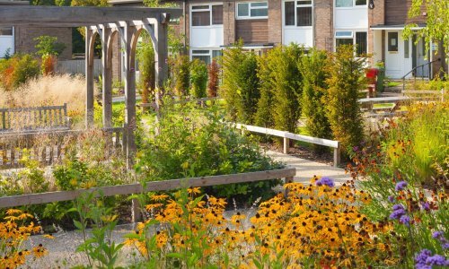 Otkrivamo pet najčešćih grešaka pri uređenju vrta i kako ih izbjeći