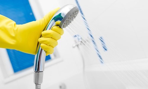 Riješite se naslaga kamenca i bakterija: Kako temeljito i bez puno muke očistiti glavu tuša