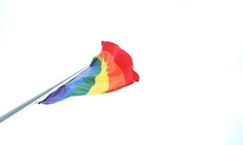 LORI i Dugine obitelji podižu kaznenu prijavu zbog paljenja zastave