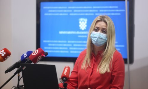 Capakova zamjenica objasnila čemu će služiti kućni testovi