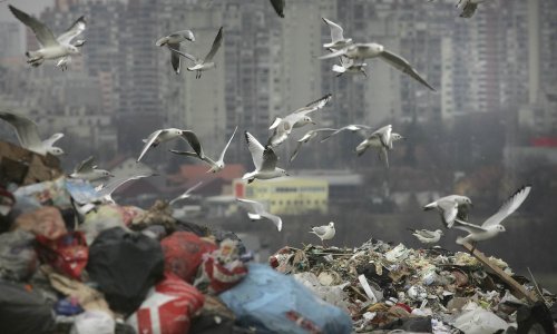 'Bandić dogovorio uvoz smeća iz cijele Zagrebačke županije!'