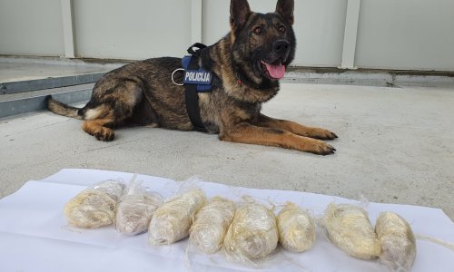 Pas Wolf nanjušio hrpu heroina