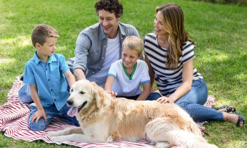 Znate li koje namirnice ne smijete davati psima? Kava, čokolada, luk i avokado samo su neke od njih