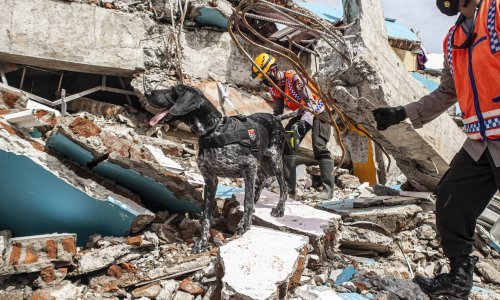 Potres 7,2 pogodio zapadnu Indoneziju, stanovnici u panici napustili domove