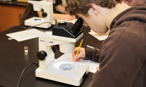 Hrvatski učenici osvojili zlato i srebro na Europskoj prirodoslovnoj olimpijadi