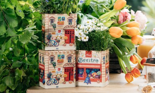 Danas je Svjetski dan pčela, evo kako im možemo pomoći