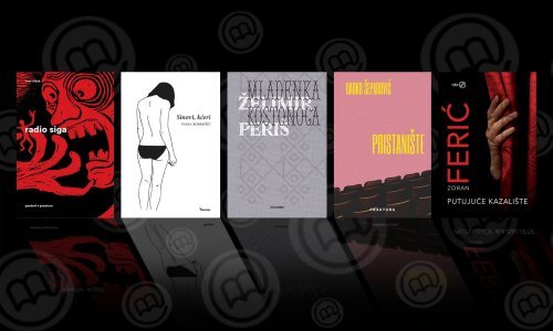 Odabrani su finalisti književne nagrade tportala za najbolji hrvatski roman