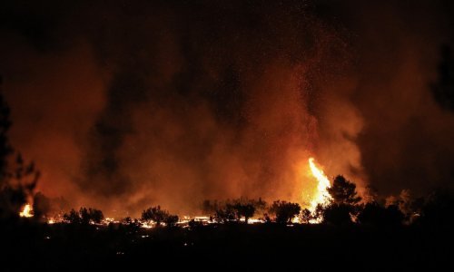 U Rusiji bukte 264 šumska požara, gase ih više od 4700 ljudi