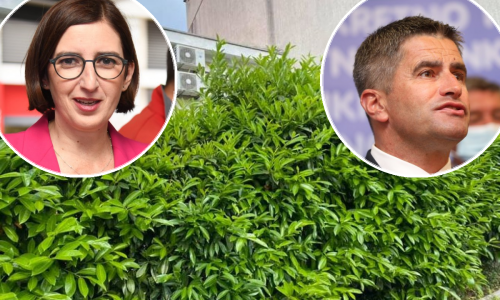 Nakon svemira tema kampanje u Splitu postala živica. HDZ-ov kandidat čak ponudio pomoć Marijani Puljak