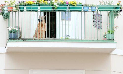 Sunčan je petak pred nama, a što kaže vikend prognoza - jesmo li se konačno riješili kiše?