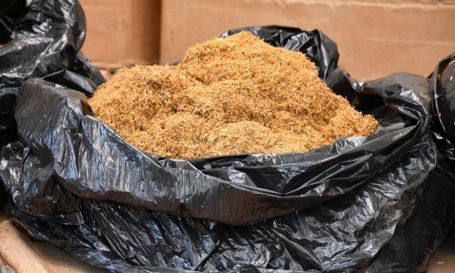 Zadarska policija razbila skupinu krijumčara 10 tona duhana i 5300 šteka cigareta