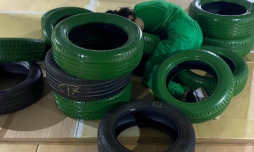 Plesna predstava 'Fantastične vrste' Ane Kreitmeyer i Studija za suvremeni ples