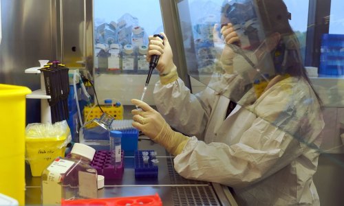 U malezijskih pacijenata otkriven novi koronavirus koji je na čovjeka prešao s psa