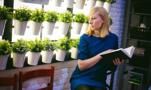 Kućne biljke su vam prestale rasti? Otkrijte zašto, ali i kako riješiti ovaj problem