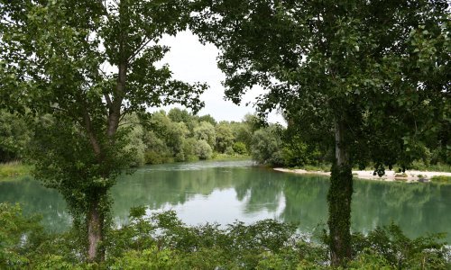 Nepoznata divlja zvijer luta kroz šikare i polja na granici Podravine i Međimurja, građane se moli da joj se ne približavaju