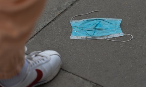 Pandemija neizravno ubija i životinje: Jednokratne maske i rukavice mogu biti fatalne za pse, mačke, ptice...