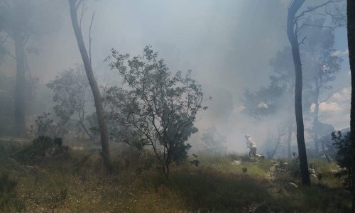 [FOTO/VIDEO] Ugašen požar na Marjanu! Splitski vatrogasci poslali nekoliko vozila na teren